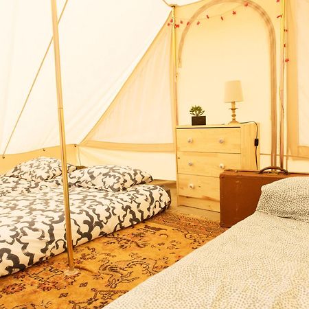 Aparra Surfcamp Capbreton Hotel Eksteriør billede