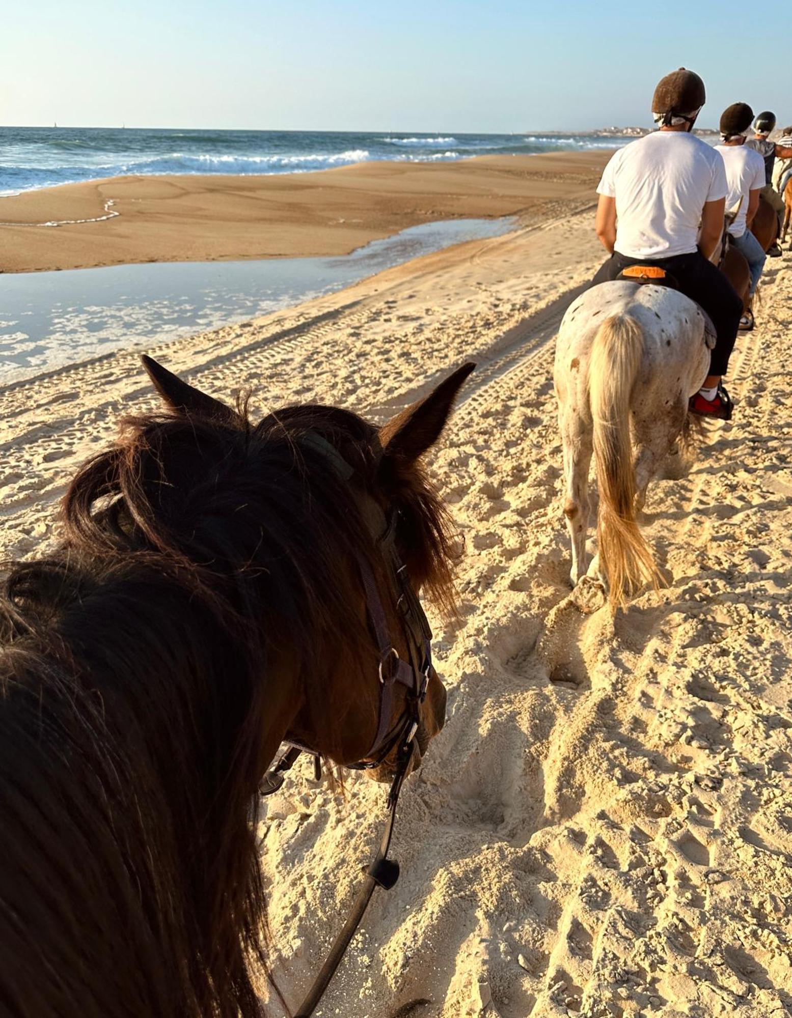Aparra Surfcamp Capbreton Hotel Eksteriør billede