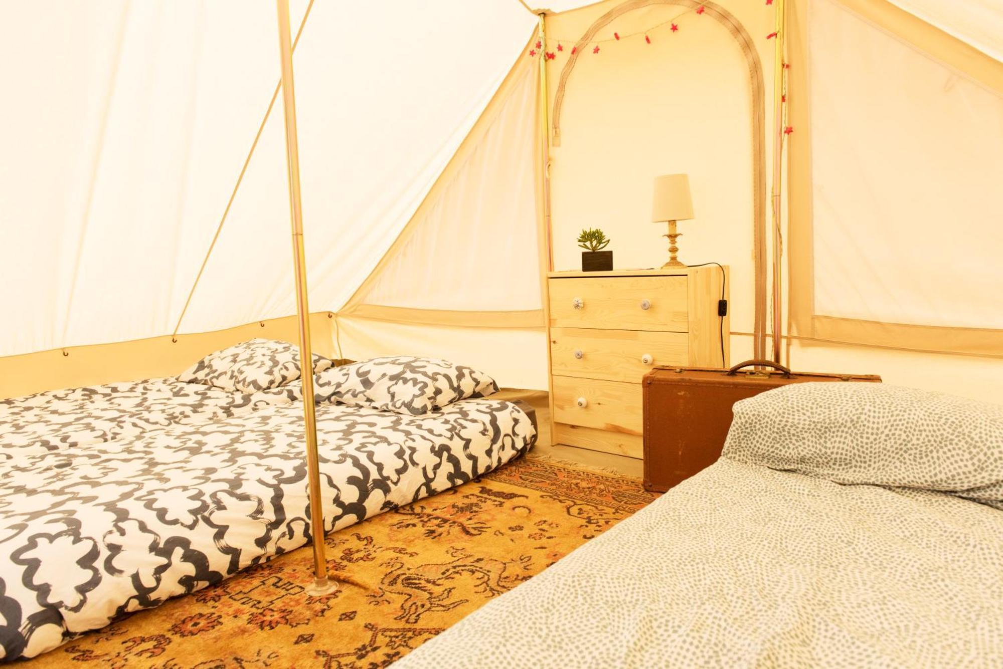 Aparra Surfcamp Capbreton Hotel Eksteriør billede
